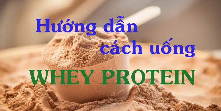 whey protein là gì